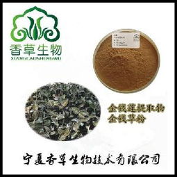 錢蓮食品 預包裝食品與散裝食品的選購指南